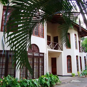 3* Gasthuis Tree Breeze